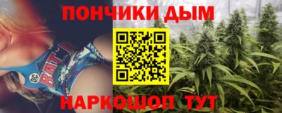 индика Краснознаменск