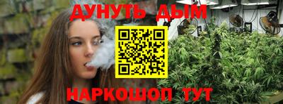 индика Краснознаменск