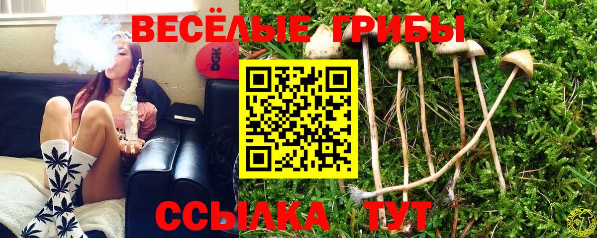купить  сайты  Галлюциногенные грибы Magic Shrooms  Вход с VPN  Кимры 